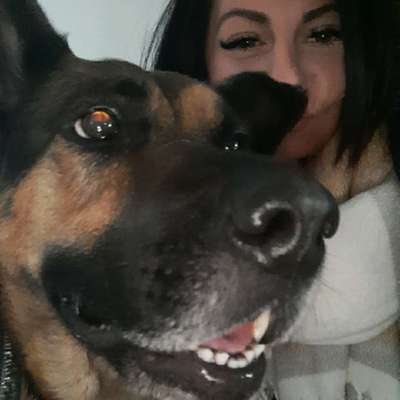 Hundetreffen-Hundetreffen LEINENFÜHRIGKEIT, SOZIALVERHALTEN-Profilbild