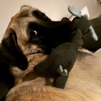 Fotochallenge Nr. 64-Beitrag-Bild