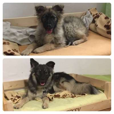 Vorher.... Nachher-Beitrag-Bild