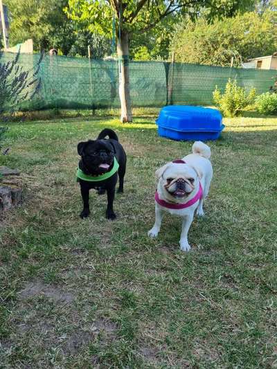 Fotowettbewerb Natur-Beitrag-Bild