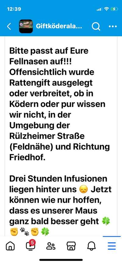 Giftköder-Rattengift-Bild