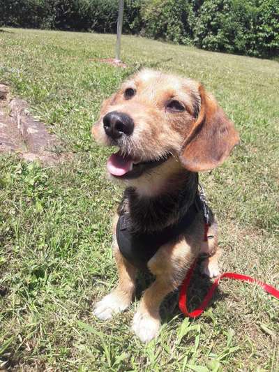 Immer lächeln !-Beitrag-Bild