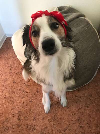 Lieblingsbild-Beitrag-Bild