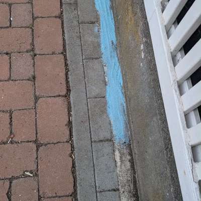 Giftköder-Giftköder/blaue Substanz-Bild