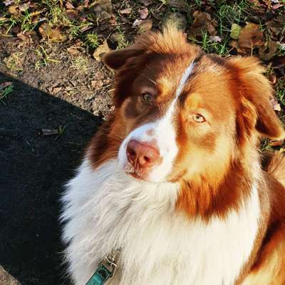 Fotochallange Nr. 57     PORTRÄT.   Beendet!!!!!!!!-Beitrag-Bild