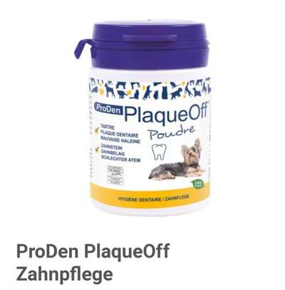 Zahnstein entfernen-Beitrag-Bild