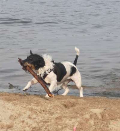 Theos Fotochallenge Nr. 3-Beitrag-Bild