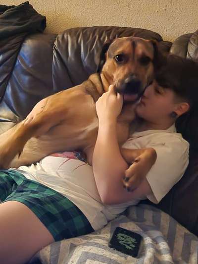 Freunde von 'Kampfhunden'-Beitrag-Bild