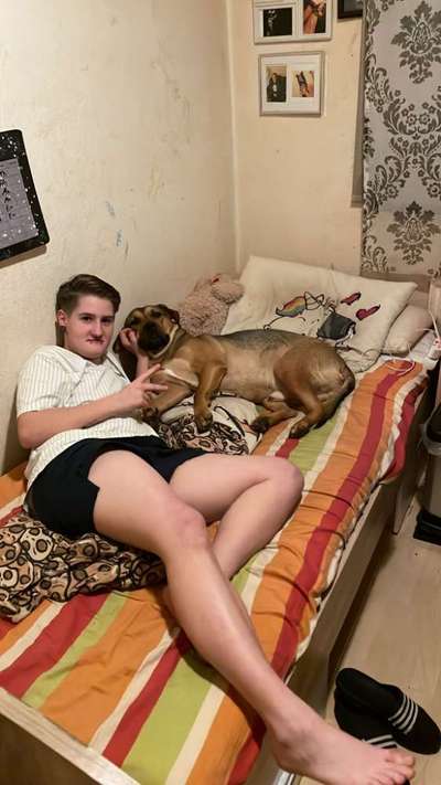 Freunde von 'Kampfhunden'-Beitrag-Bild