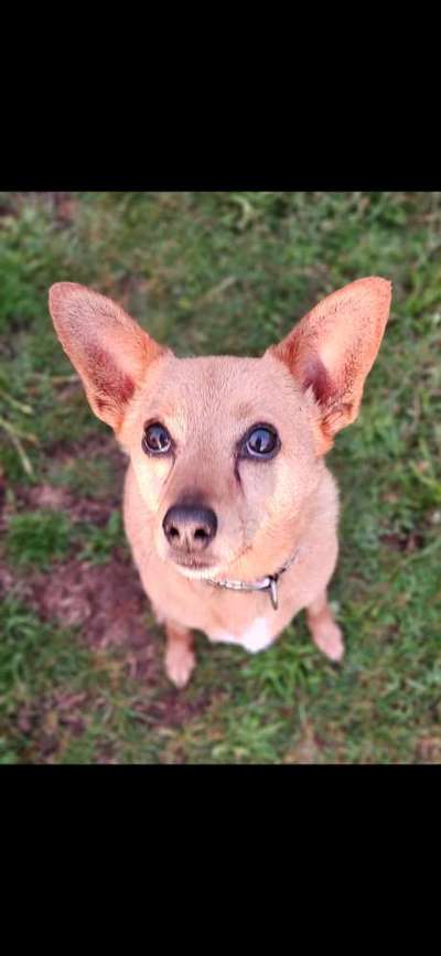 147. Foto Challenge: Bettelblick-Beitrag-Bild