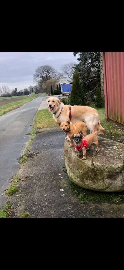 155. FotoChallange * David und Goliath *-Beitrag-Bild