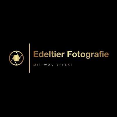 Tierfotografie Edeltier Fotografie in Hann. Münden  – Dogorama