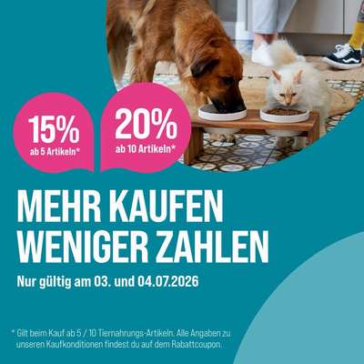 %{de_profession_title}-SOFORTRABATT auf Hundefutter-Bild
