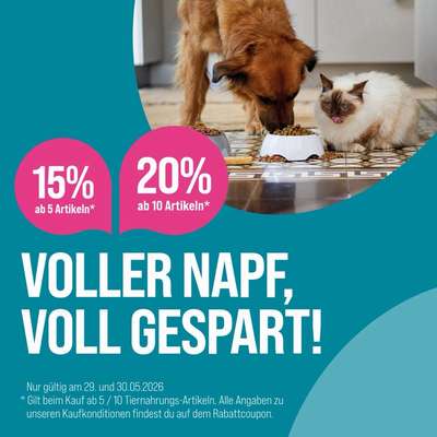 %{de_profession_title}-Voller Napf, voll gespart!-Bild