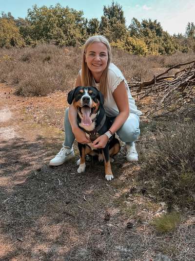 Welpen Bilder !-Beitrag-Bild