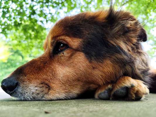 Lieblings Fotos-Beitrag-Bild