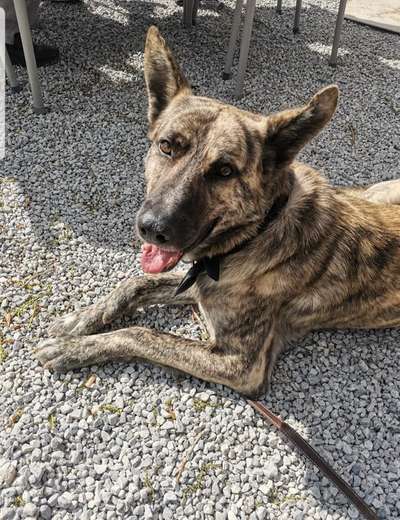 Lieblingsbild-Beitrag-Bild