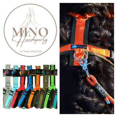 %{de_profession_title}-Mino Hundeparty-Bild