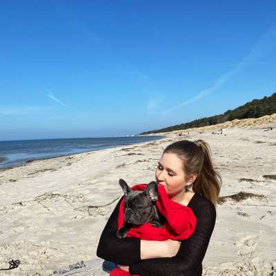 Hundetreffen-Playdate