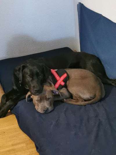 Lieblingsbild-Beitrag-Bild