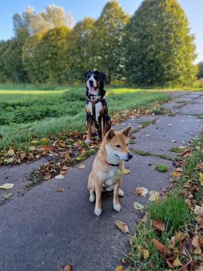 30. Collagen Challenge - Wege/Straßen-Beitrag-Bild