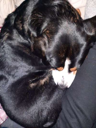 Fotochallange - Eingekugelt-Beitrag-Bild