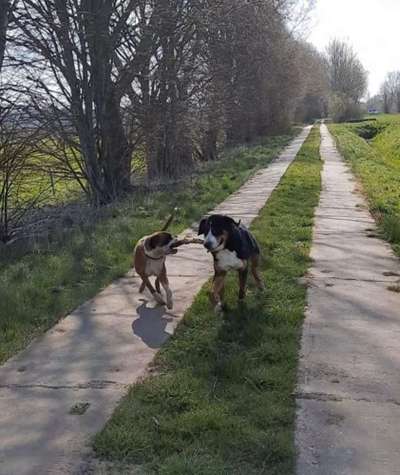 30. Collagen Challenge - Wege/Straßen-Beitrag-Bild