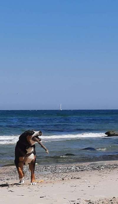 Dogorama Photo Challenge - Urlaubsziele-Beitrag-Bild