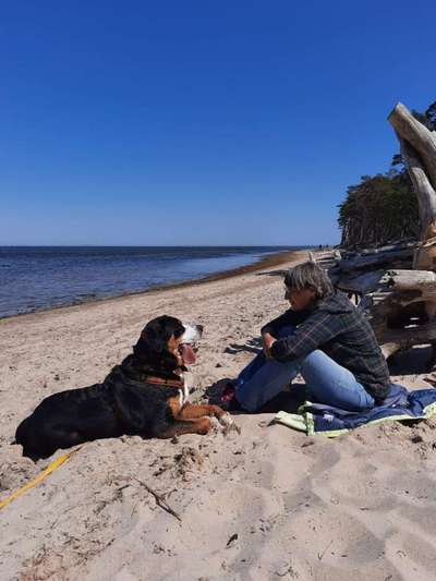 Dogorama Photo Challenge - Liebesbeweis-Beitrag-Bild