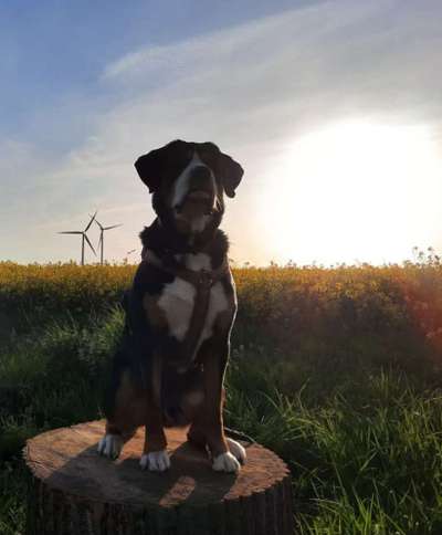 Sonnenaufgänge oder - untergänge-Beitrag-Bild