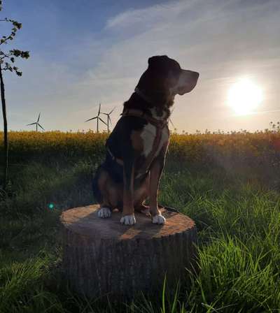 Farben Fotochallenge Sonnenlicht-Beitrag-Bild