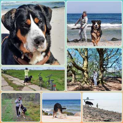 45. Collage Challenge - Lieblingsurlaubs/ Ausflugsziele-Beitrag-Bild