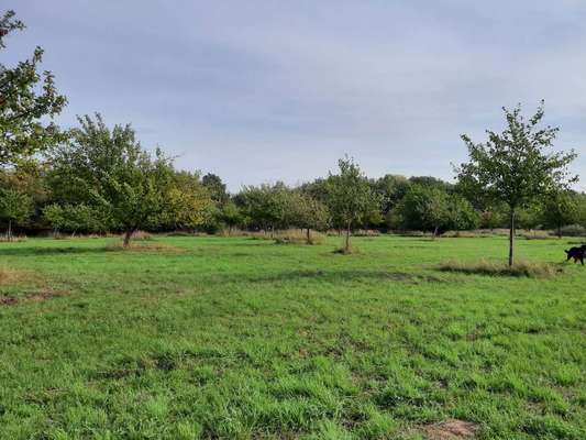 154. FotoChallenge * AUFS BILD GEMOGELT *-Beitrag-Bild