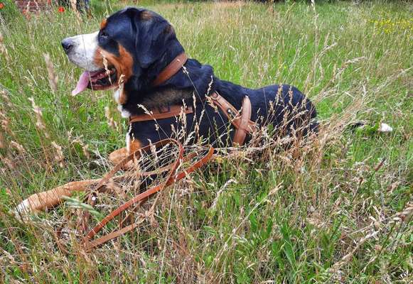 19. Farben  Fottochallenge :
Lieblingsfarbe-Beitrag-Bild