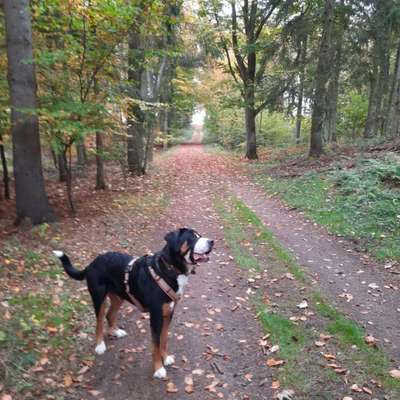 30. Collagen Challenge - Wege/Straßen-Beitrag-Bild