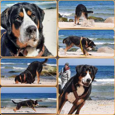 37. Collagen Challenge- Am Strand-Beitrag-Bild