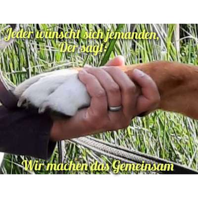 Fotowettbewerb "Liebeserklärung an deinen Hund!"-Beitrag-Bild