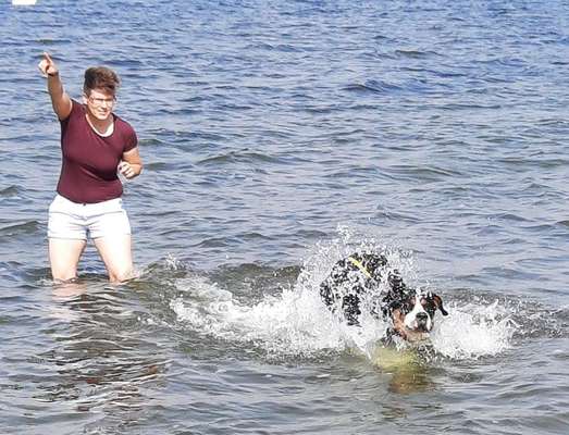 Fotowettbewerb: Wasserratte-Beitrag-Bild