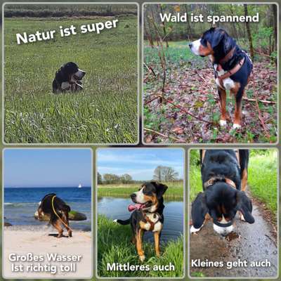 15. Kurzgeschichten-Challenge: Draussen, in der Natur-Beitrag-Bild