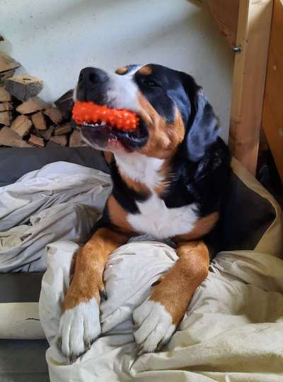 138. Fotochallenge 

(M)Ein Ball und ich-Beitrag-Bild