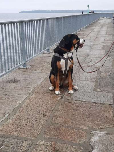 Foto Challenge Thema "Brücke"-Beitrag-Bild