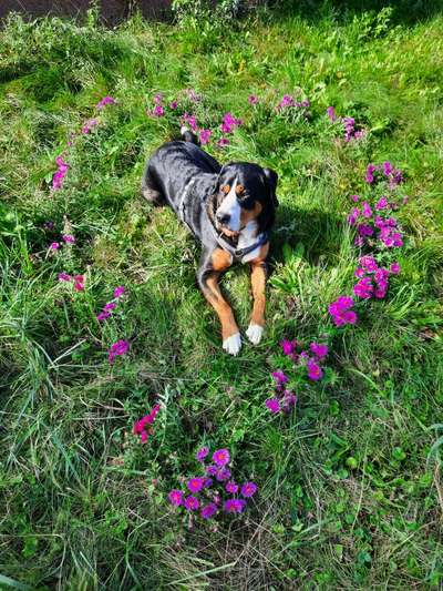 67. Handy Foto Challenge: Rotes Herz-Beitrag-Bild