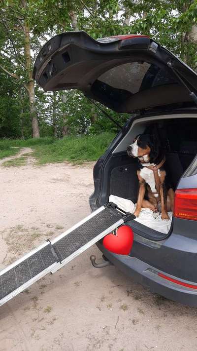 141. FOTO CHALLENGE 
Reisende soll man nicht aufhalten-Beitrag-Bild