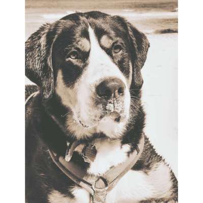 FarbenFoto - Challenge: Sepia-Beitrag-Bild