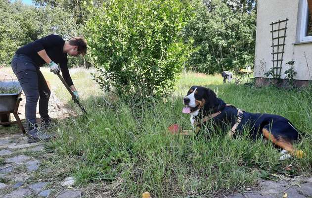 140. Foto Challenge - schattiges Plätzchen-Beitrag-Bild