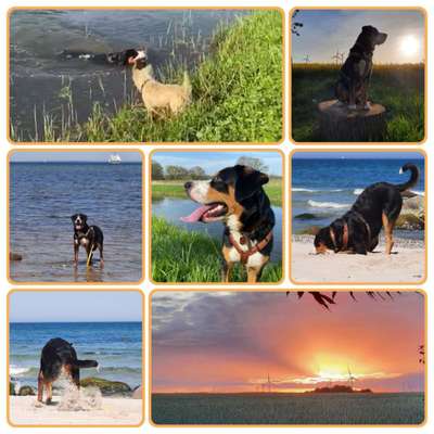 Zeigt eure schönsten Sommerbilder-Beitrag-Bild