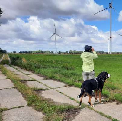 156. Fotochallenge *** DEIN HUND UND DIE WUNDERSCHÖNEN WOLKEN ***-Beitrag-Bild