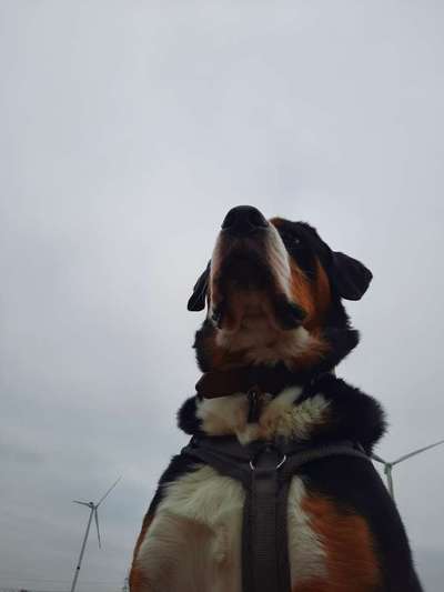 118. Fotochallange-Beitrag-Bild