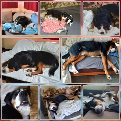 42. Collage Challenge - Ruheplatz-Beitrag-Bild