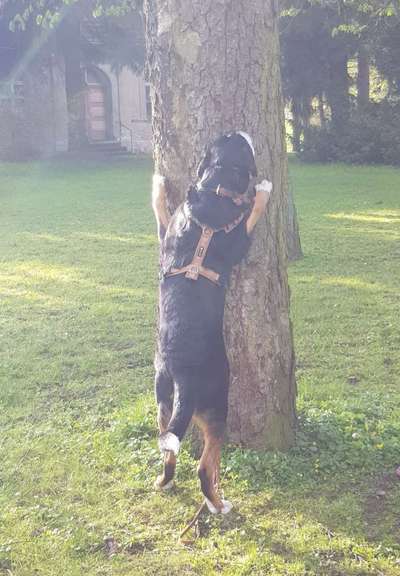 45. Handy - Foto - Challenge-Beitrag-Bild